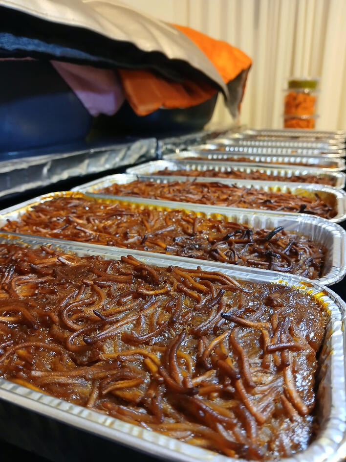 א.א. חשמל אלירן אליהו לוי